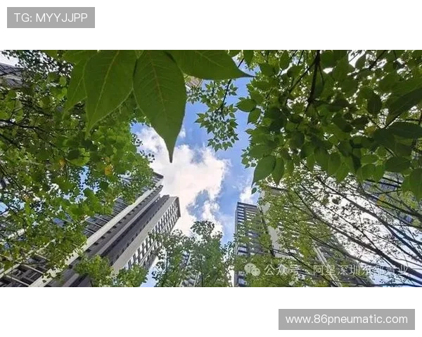 稳定流畅的百家乐游戏下载方法，让你无忧畅玩每一局