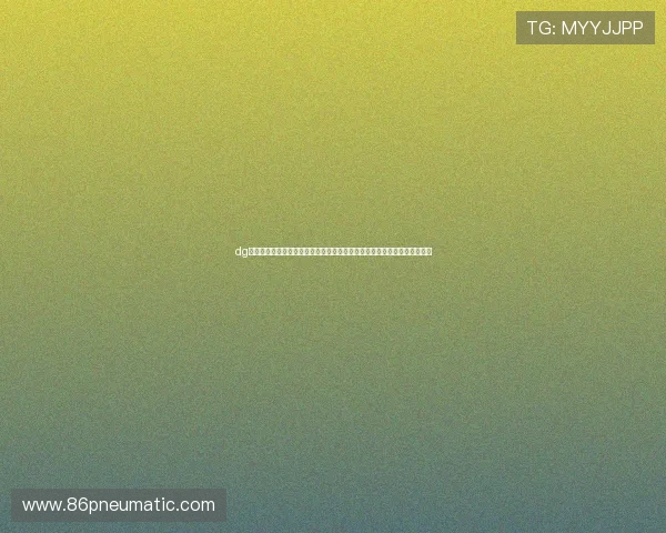 dg视讯是哪个国家的品牌在世界杯期间的官方合作伙伴及其背后国家背景分析